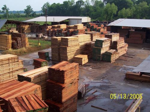 Rooftop view of inbounc lumber awaiting the dry kiln</br></br>