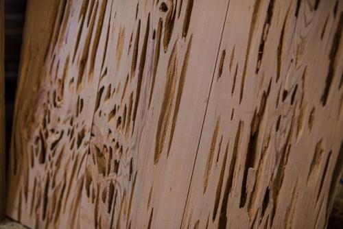 Pecky cypress, kiln dried, smooth finish, very heavy peck, rare to find boards with this much pecky </br></br>